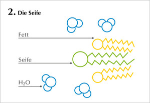 Grafik Coronavirus und Seife